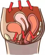 夫妻生活不和谐，有可能是因为它&hellip;&hellip;是时候查查盆底肌了！