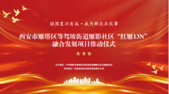 &ldquo;强国复兴有我&middot;我为群众办实事&rdquo;等驾坡街道雁影社区&ldquo;红雁13N&rdquo;融合发展项目推动仪式